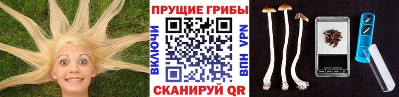 Псилоцибиновые грибы Magic Shrooms  Абдулино 
